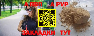 меф Кингисепп