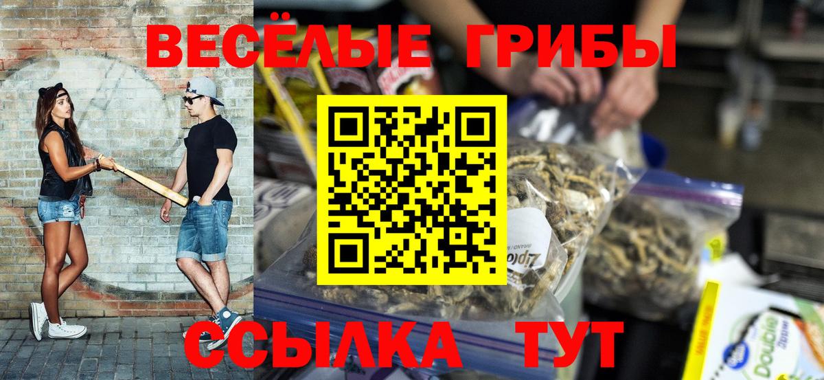 Галлюциногенные грибы прущие грибы Юрга