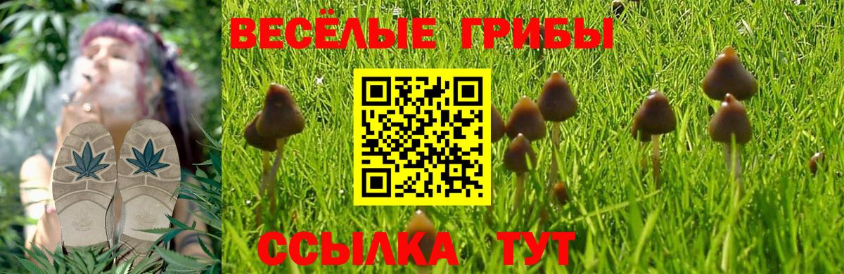 Галлюциногенные грибы мухоморы  Вход с VPN  Юрга 